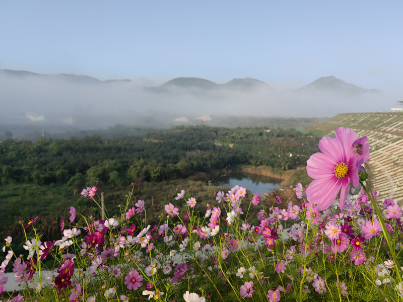 穿越凜冬逐光而行