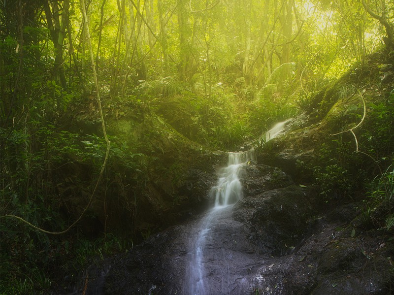 細(xì)水長(zhǎng)流，持續(xù)學(xué)習(xí)，忘我工作，共建臻美臨臨——讀《細(xì)水長(zhǎng)流，忘我工作，重建美麗家園》有感