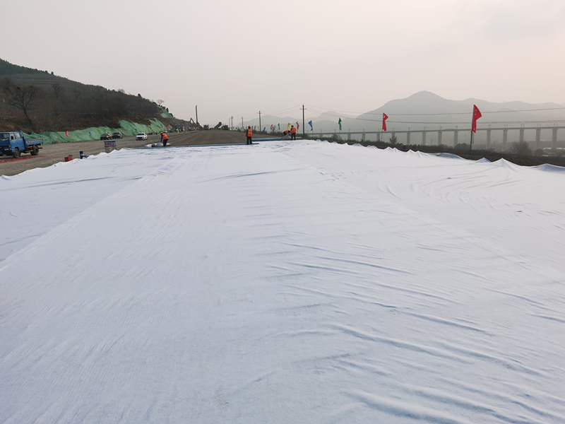 養(yǎng)護_副本