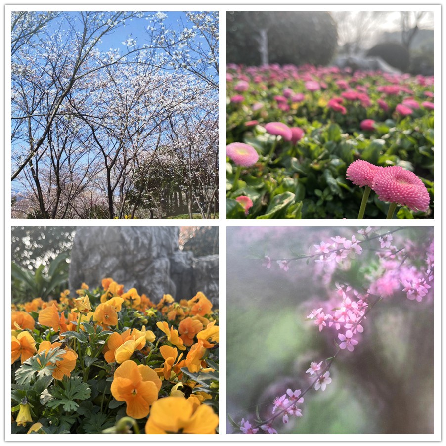 【女神節(jié)專題】一路走來一路拍——于金瀅攝影集之打卡玄武湖、中山陵