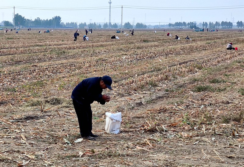 從顆粒歸倉(cāng)說(shuō)起