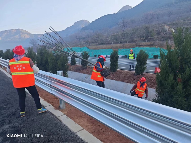 種植綠化_副本 種植綠化_副本