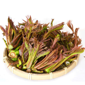 清明谷雨話青食