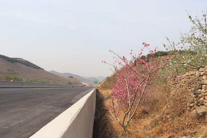 石匣峪2號(hào)大橋_副本