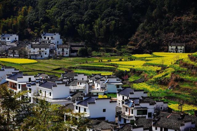 《我的阿勒泰》敲開了心房，心房的最深處有屬于自己的鄉(xiāng)愁