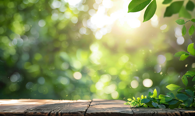 心中有光，皆為福祉