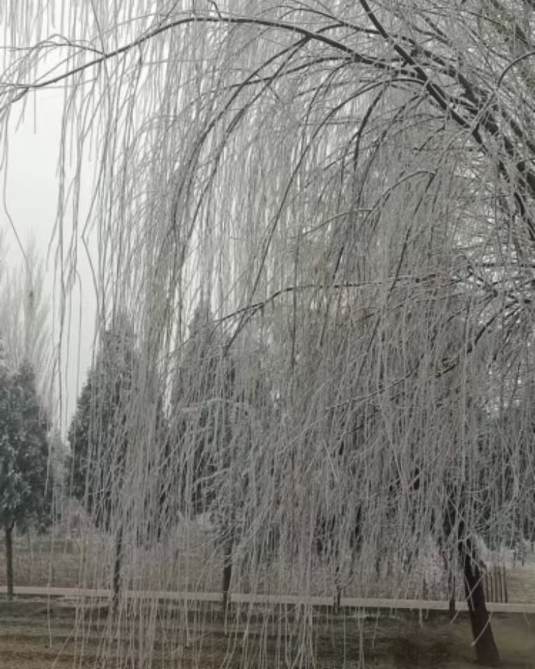 一季之寒，一世之暖