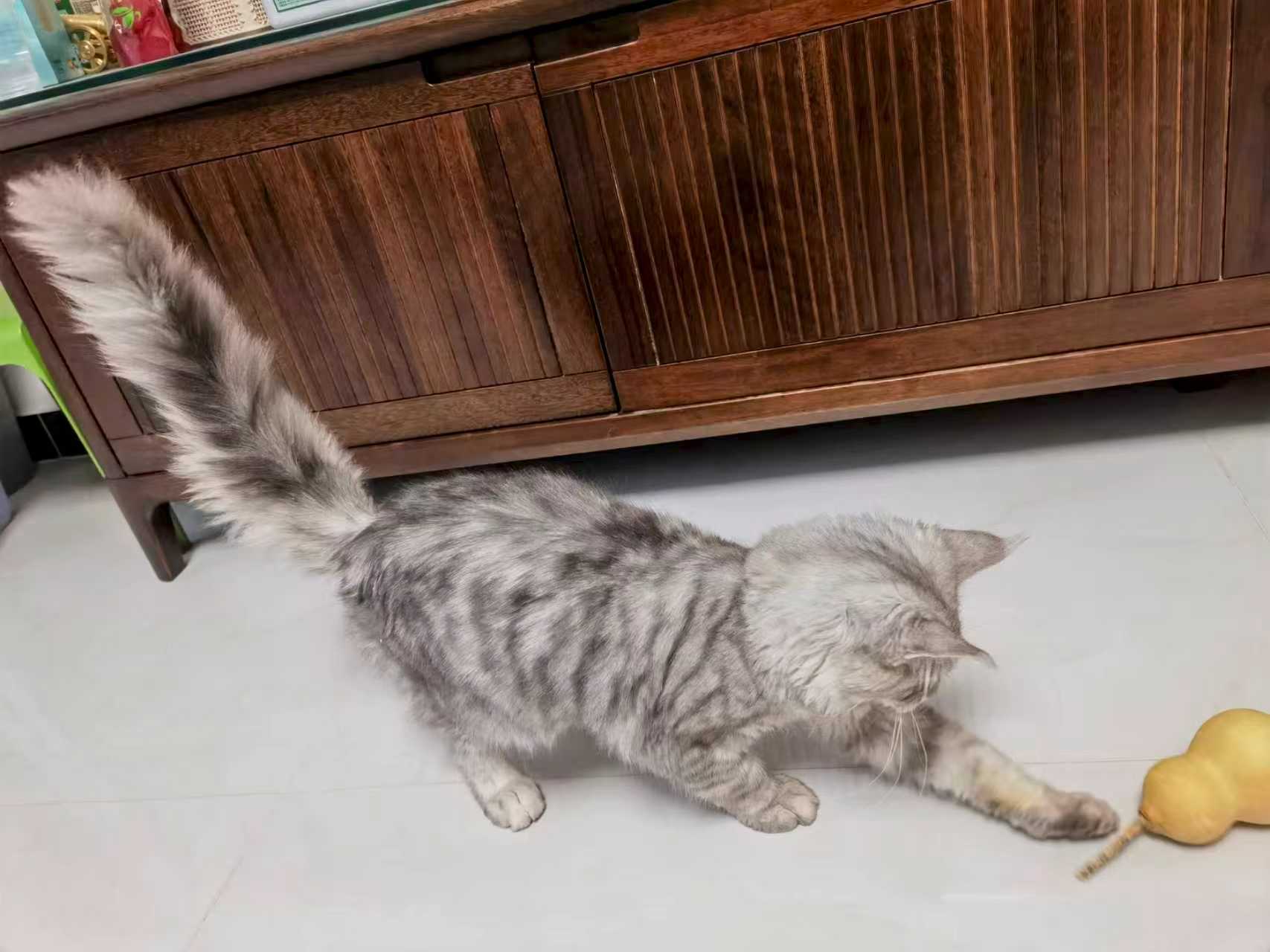 微信圖片_20251208084730_166_173 微信圖片_20251208084730_166_173