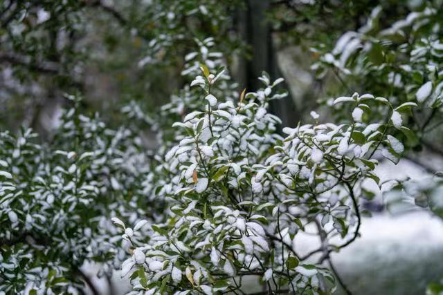 微信圖片_20260119143758_193_158