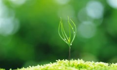 奮斗是對春的敬意