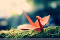 平凡的崗位，不平凡的你