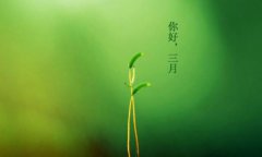 你好，三月！