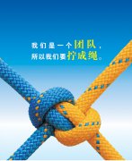 從人力資源部看團結(jié)，淺談對團隊的理解