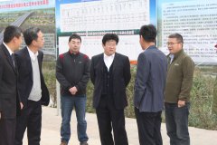 市公路局局長王興視察我S102項(xiàng)目工地