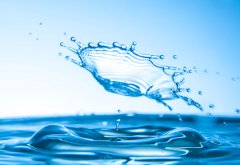 大醫(yī)無為治未病，潤物知時細無聲 ——談談我們的公司治理與項目管理