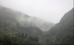 再見(jiàn)，江西！