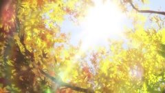 陽光是自己給的