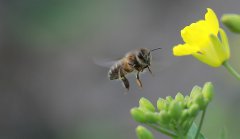 以辛勤勞動為榮，以好逸惡勞為恥