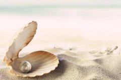 堅(jiān)持就是勝利