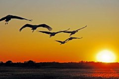 快樂工作， 微笑生活