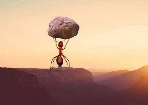 能扛事，不惹事，不怕事！