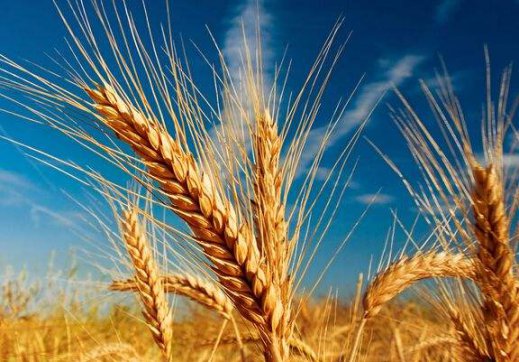 魯中公路——你是我的選擇　也是我的歸屬