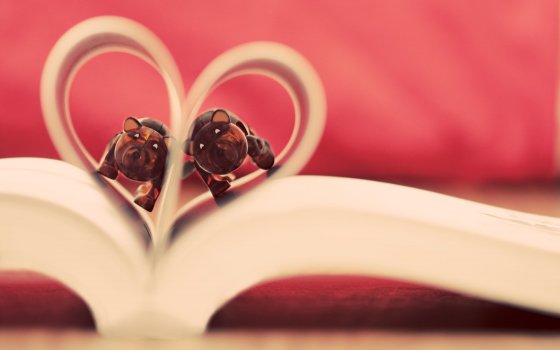 愿有一人，懂你背后所有的苦