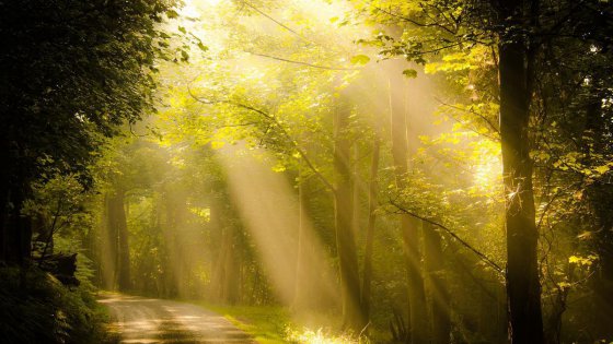 陽(yáng)光溫暖的日子里請(qǐng)善待自己