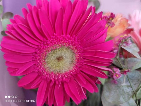 三八節(jié)，我們的女神節(jié)