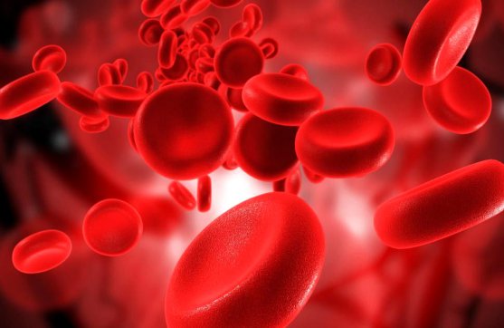 讓品質(zhì)融進魯中公路的血液里