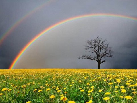 【學習心得】風雨后的彩虹